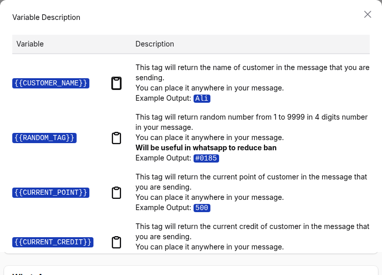Variable Description window listing CUSTOMER_NAME, RANDOM_TAG, CURRENT_POINT and CURRENT_CREDIT