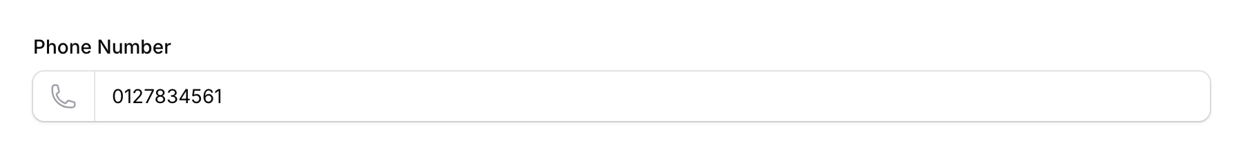 Enter the customer's phone number in the Record Points form