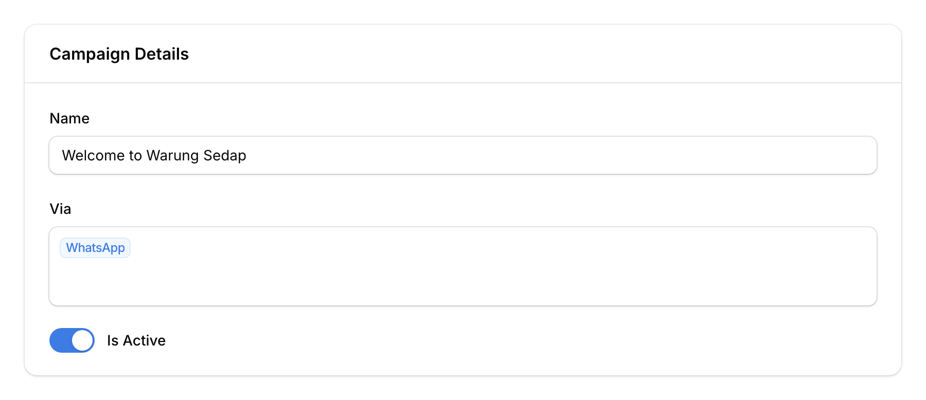 Campaign form showing name, channel selection, and active toggle