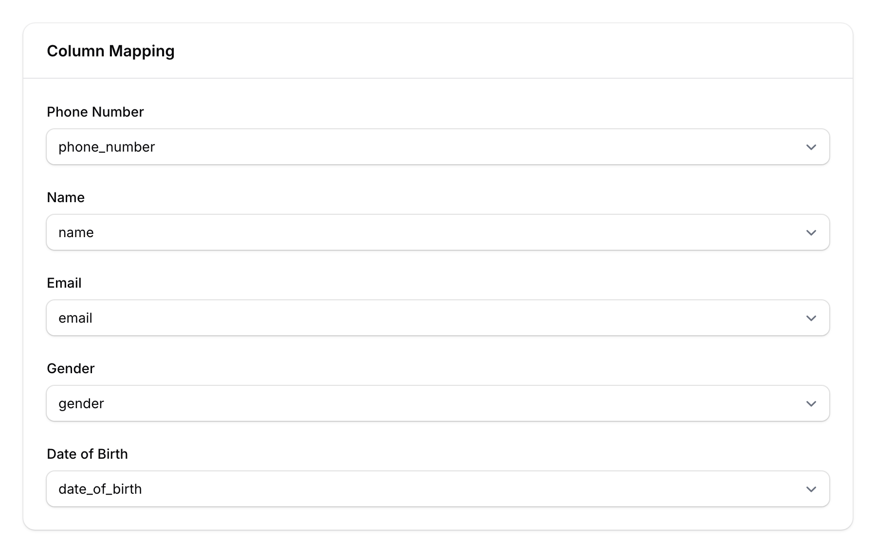 CSV import column mapping showing Phone Number, Name, Email, Gender, and Date of Birth fields matched to CSV columns